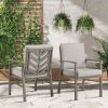 Peakhome Amario 2-Piece Patio Aluminum Dining Chairs With Sunbrella® Cushions