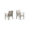 Peakhome Amario 2-Piece Patio Aluminum Dining Chairs With Sunbrella® Cushions